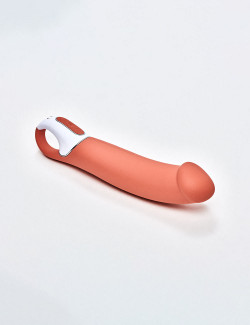 Vibrator SATISFYER Vibes Master